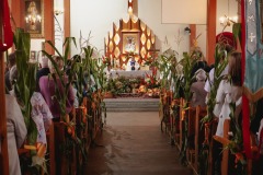 55-DSC07229